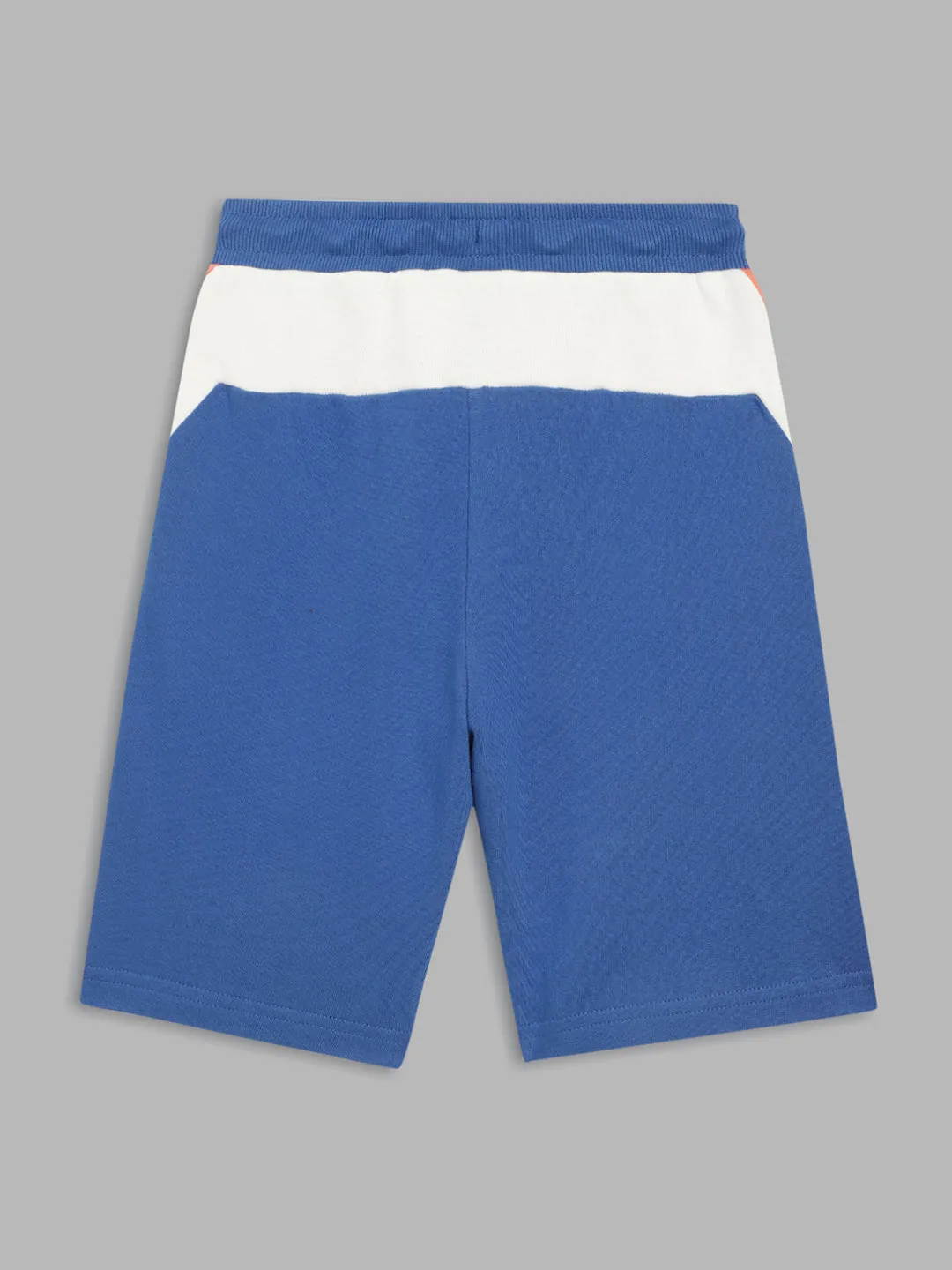 Blue Giraffe Boys Blue Colorblocked Straight Fit Mid-Rise Shorts