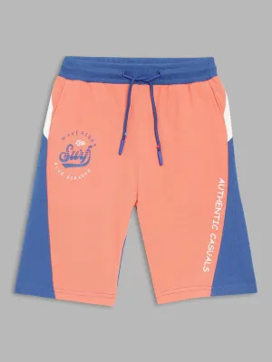 Blue Giraffe Boys Blue Colorblocked Straight Fit Mid-Rise Shorts