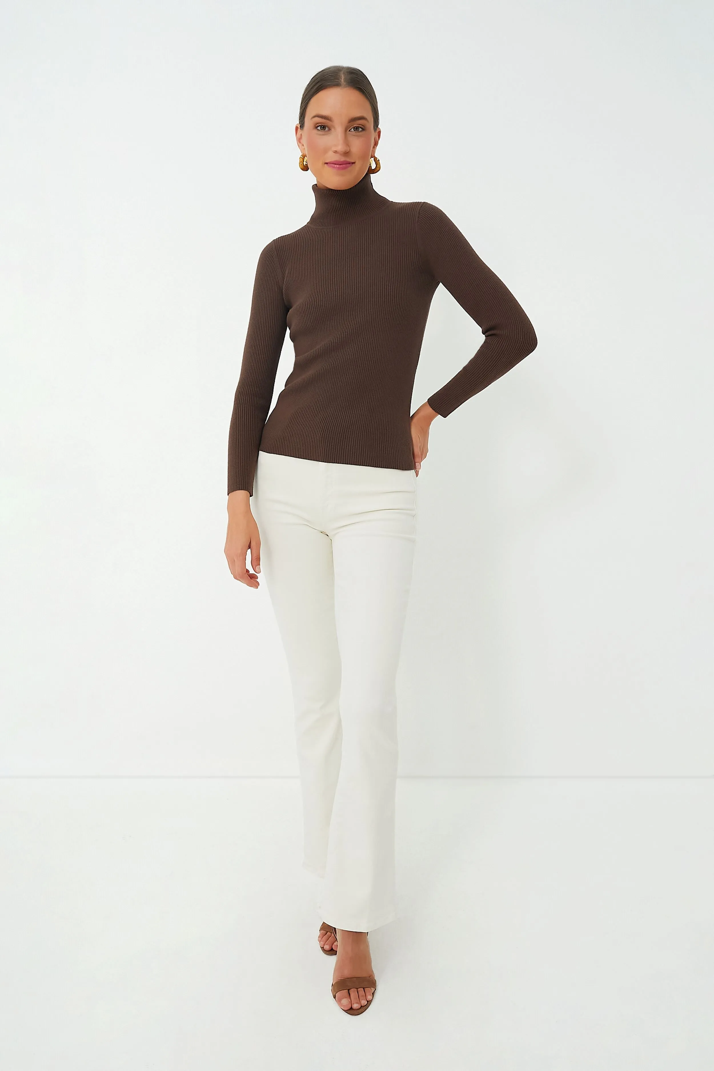 Brown Arlo Ribbed Turtleneck