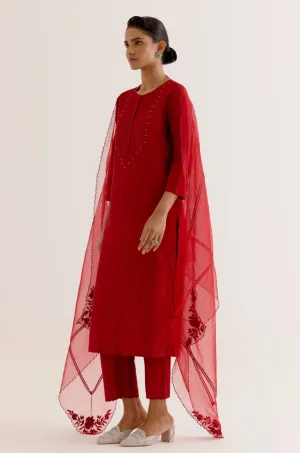 Ruby Red Cotton Silk Blend Block Printed Kurta Set