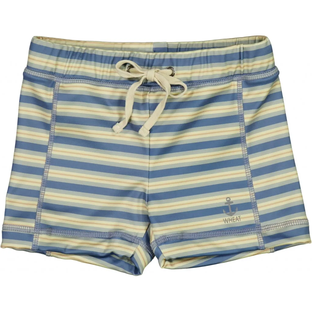 Swim Shorts Ulrik - bluefin stripe