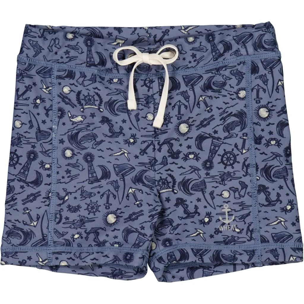 Swim Shorts Ulrik - flintstone sealife